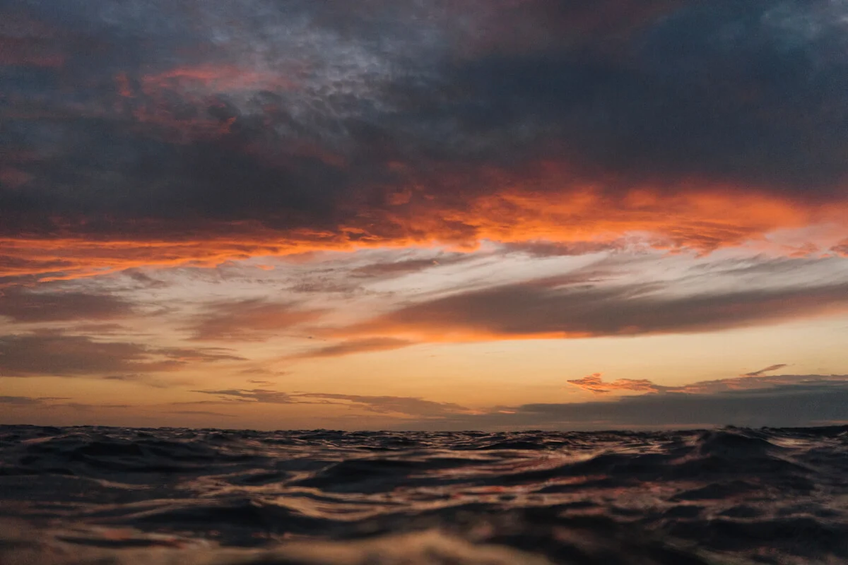 Ocean_OxbowSardaigne-Day4_TL_04982.jpg
