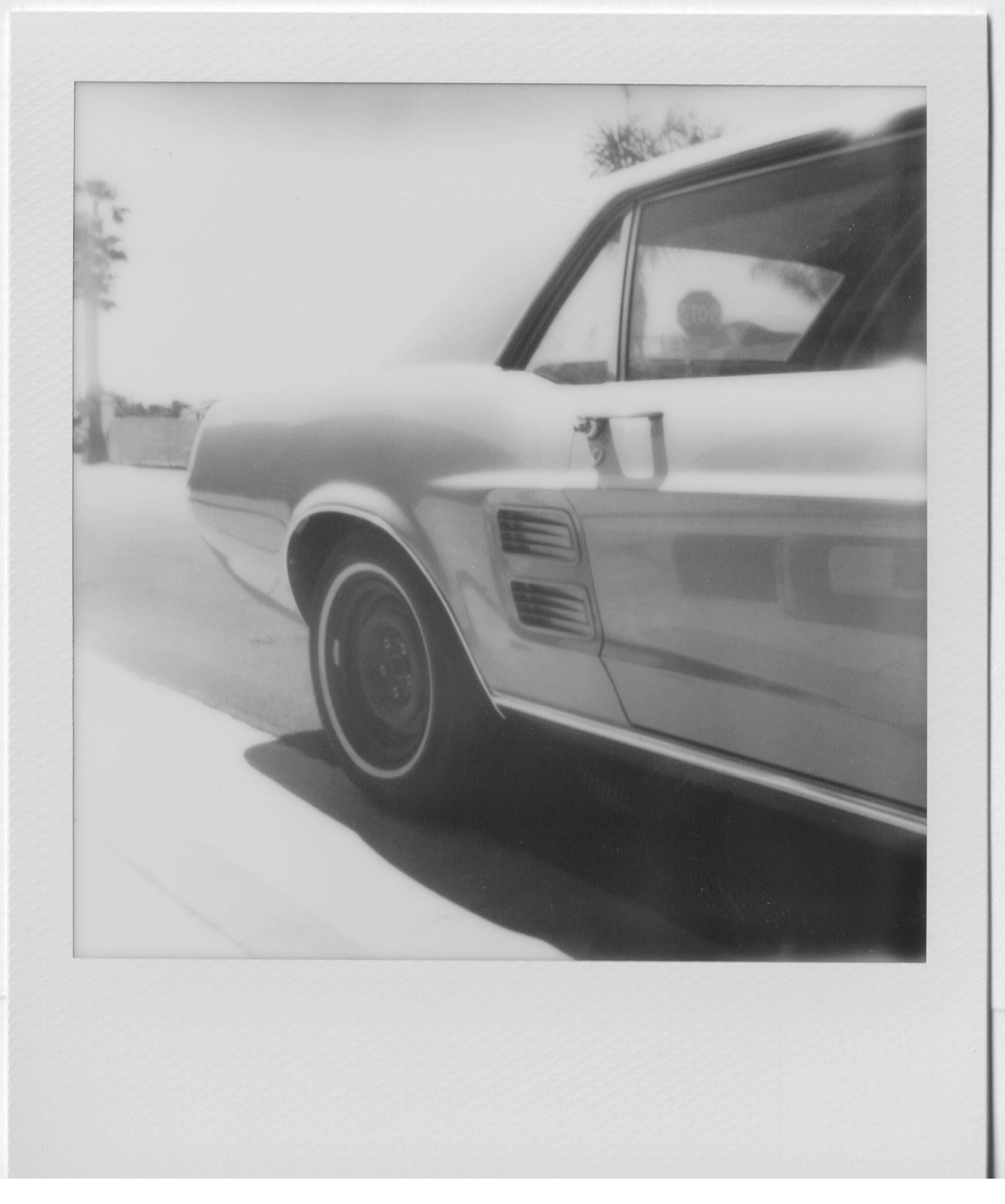 Pola_CA-MarchLab_12.jpg