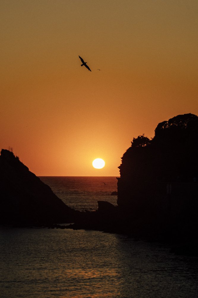 Biarritz_TLodin_08953.jpg
