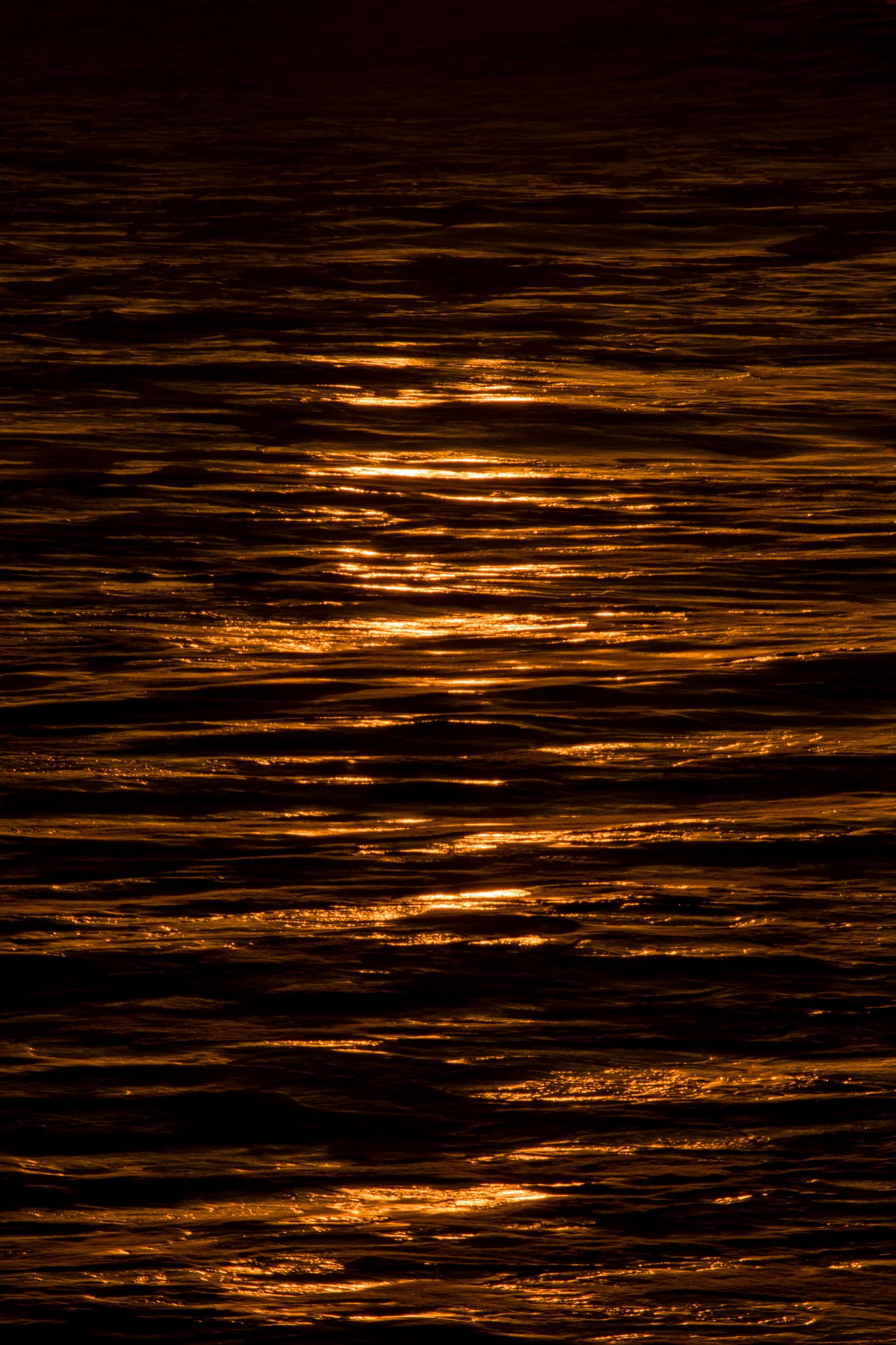 Seascape_Leica-Sunset-Ilbarritz-5janv_TL_1260256.jpg