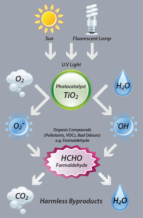 Click on diagram to enlarge.