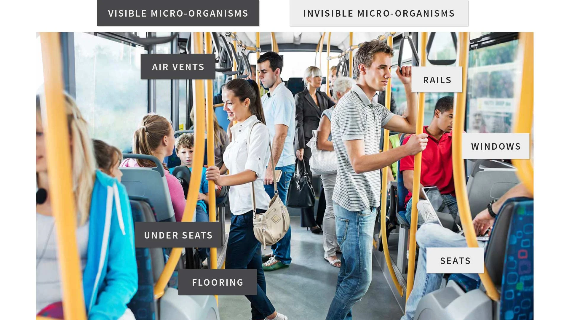 Click on this diagram to enlarge