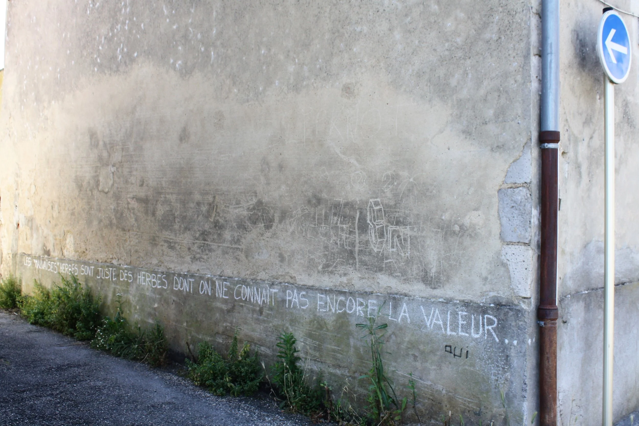 Des envies de désherbage