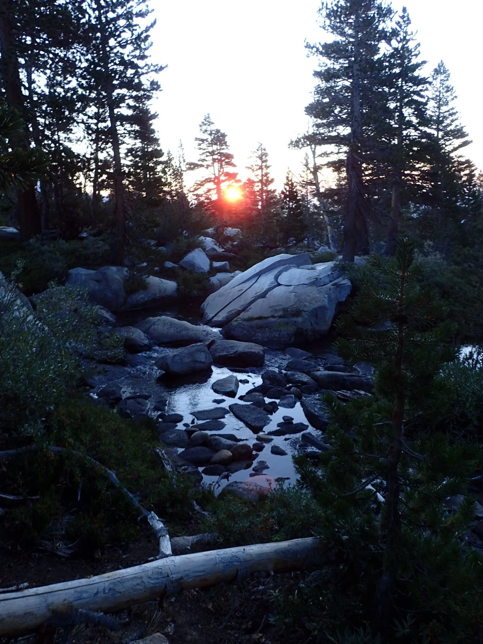 Marie Lakes Trail Junction - JMT