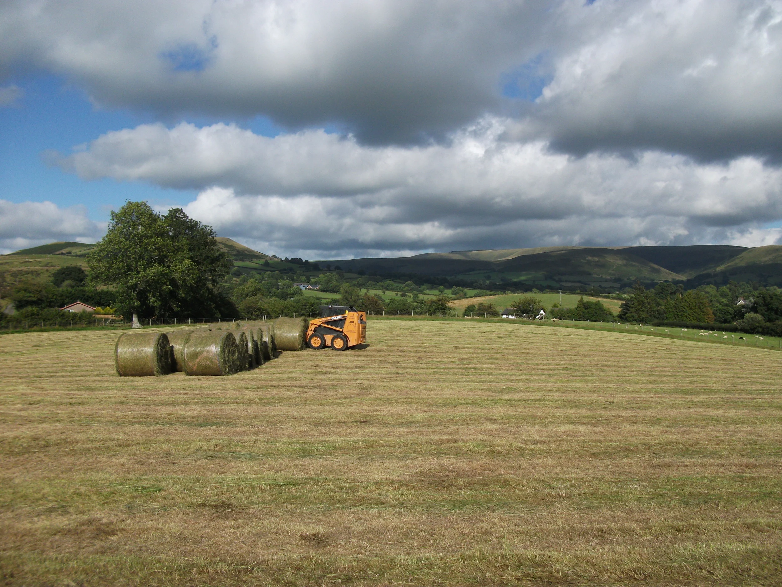 John and Vivs camera sept 10 024.JPG