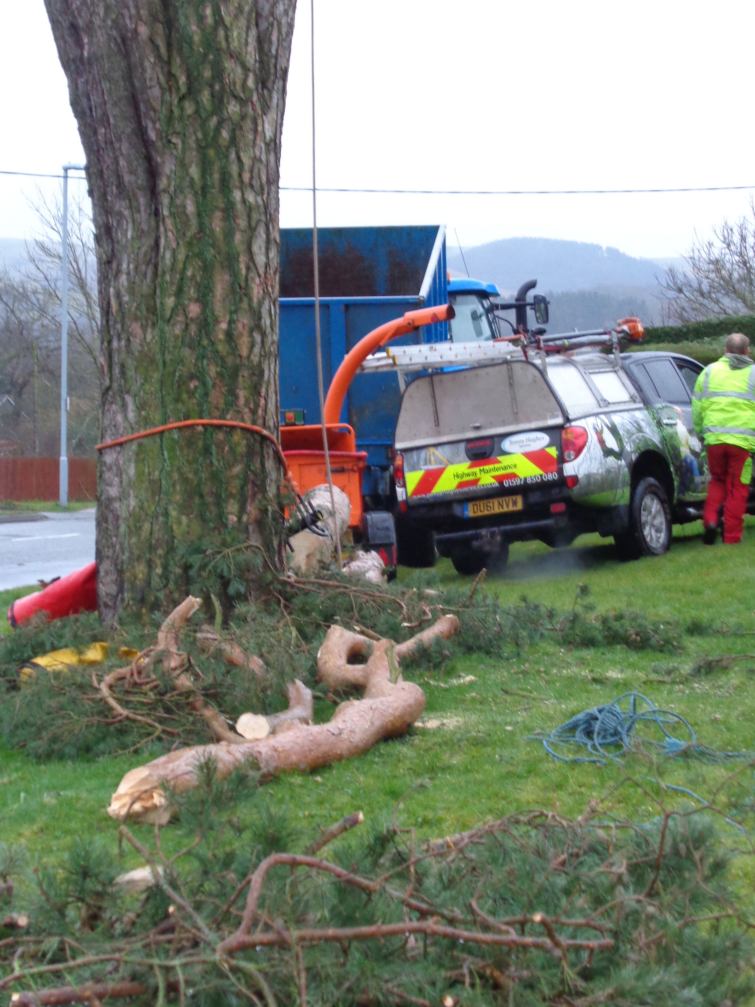 Tree work 14 002.JPG