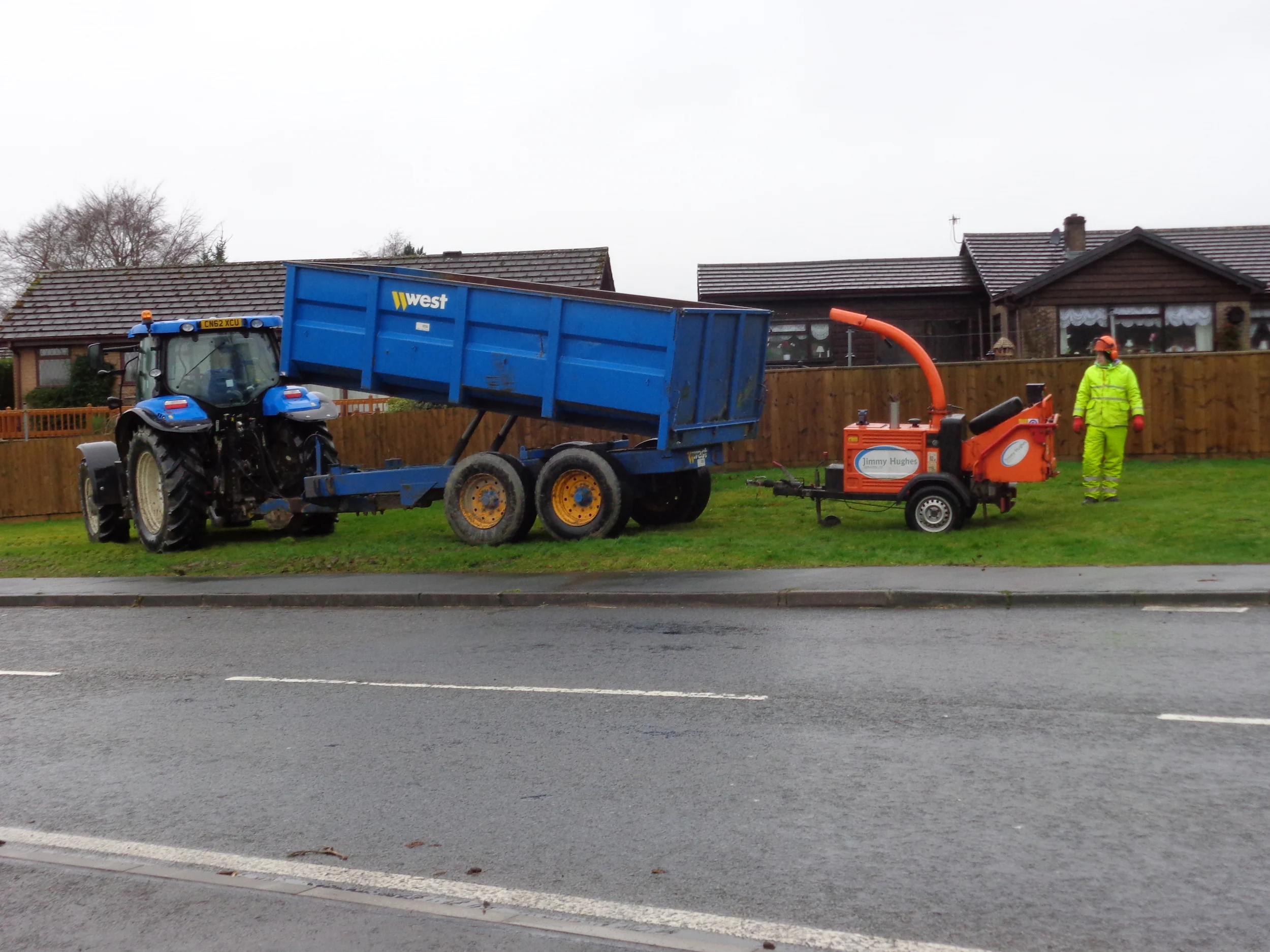 Tree work 14 003.JPG