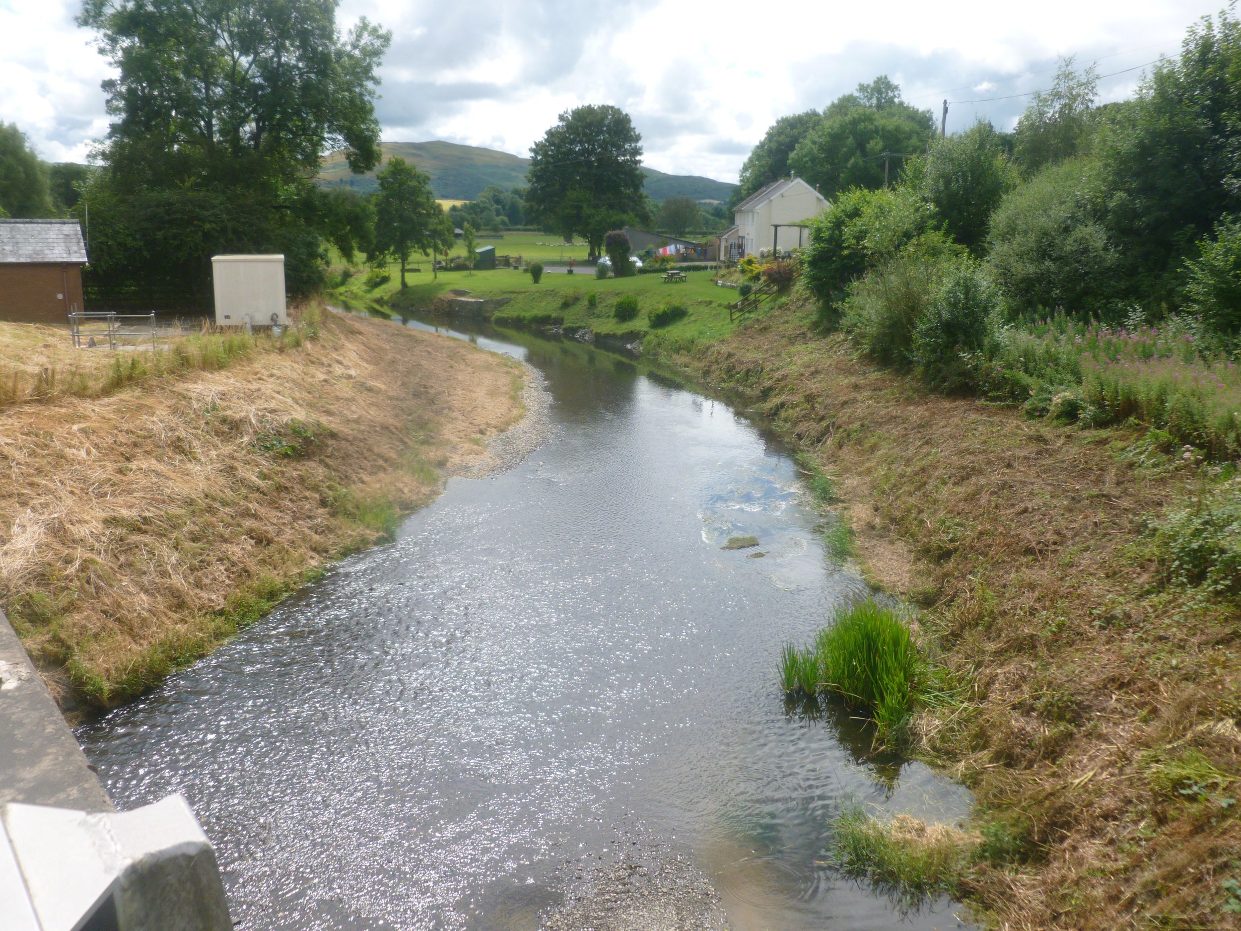 Brushcutter and trimmer training