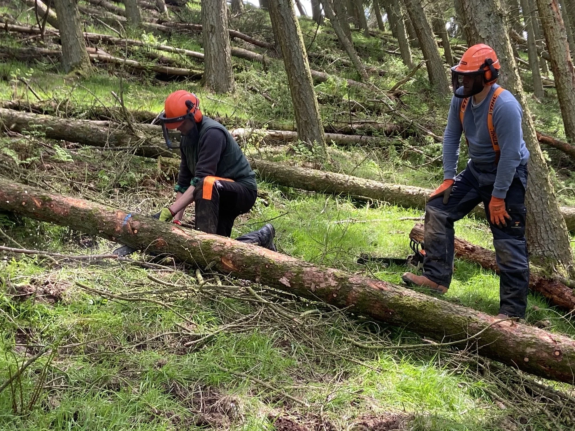 Chainsaw maintenance and cross cutting