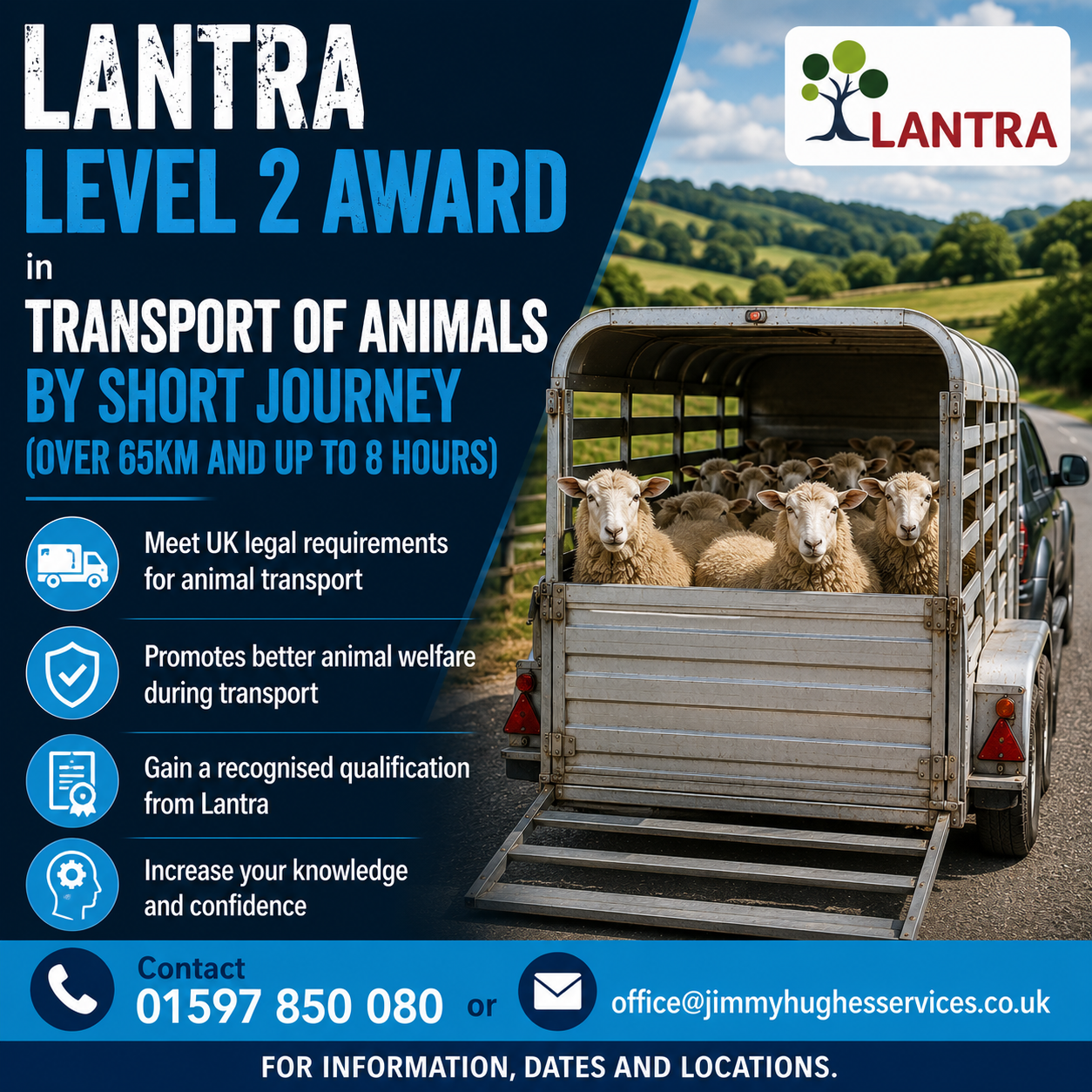 Transport of animals.png
