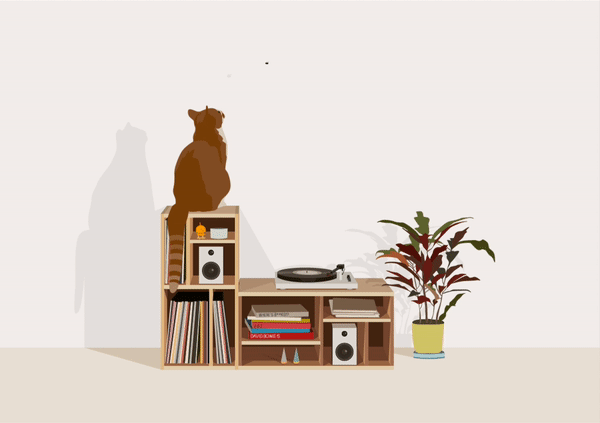 Ollie the cat.gif