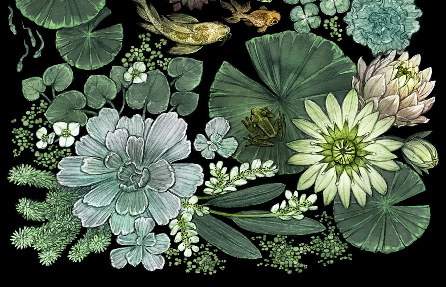 Pond Pattern with unfinished sections