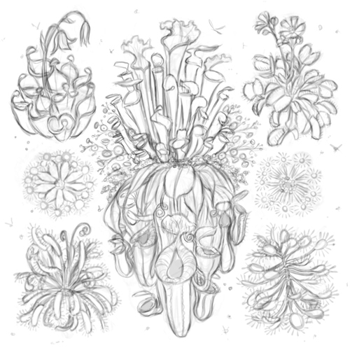Ode to Meat Eating Plants sketch