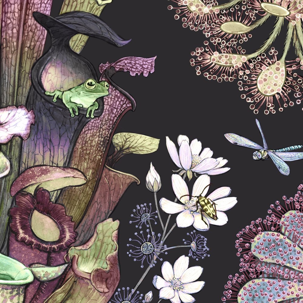 専用☆当時物USAヴィンテージカード フラワー他⑤＆アニマル⑩＆アールデコ①② Carnivore Garden Art Print — Jessica Warrick