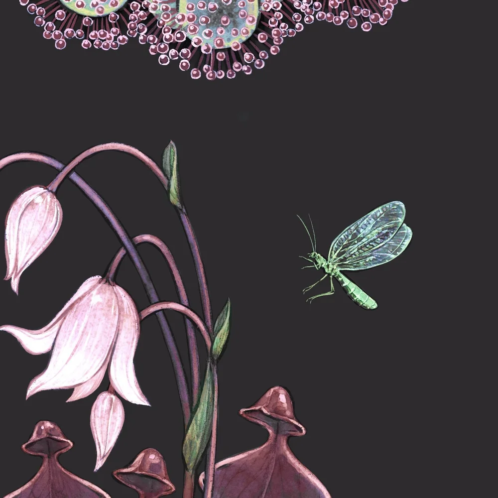 Carnivore Garden Art Print — Jessica Warrick