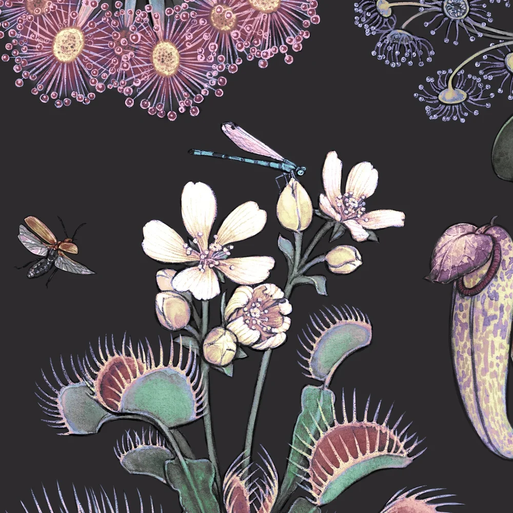 Carnivore Garden Art Print — Jessica Warrick