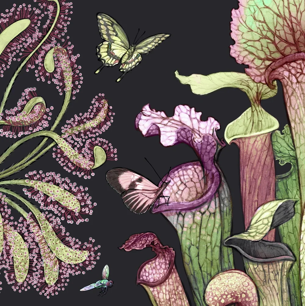 Carnivore Garden Art Print  Jessica Warrick