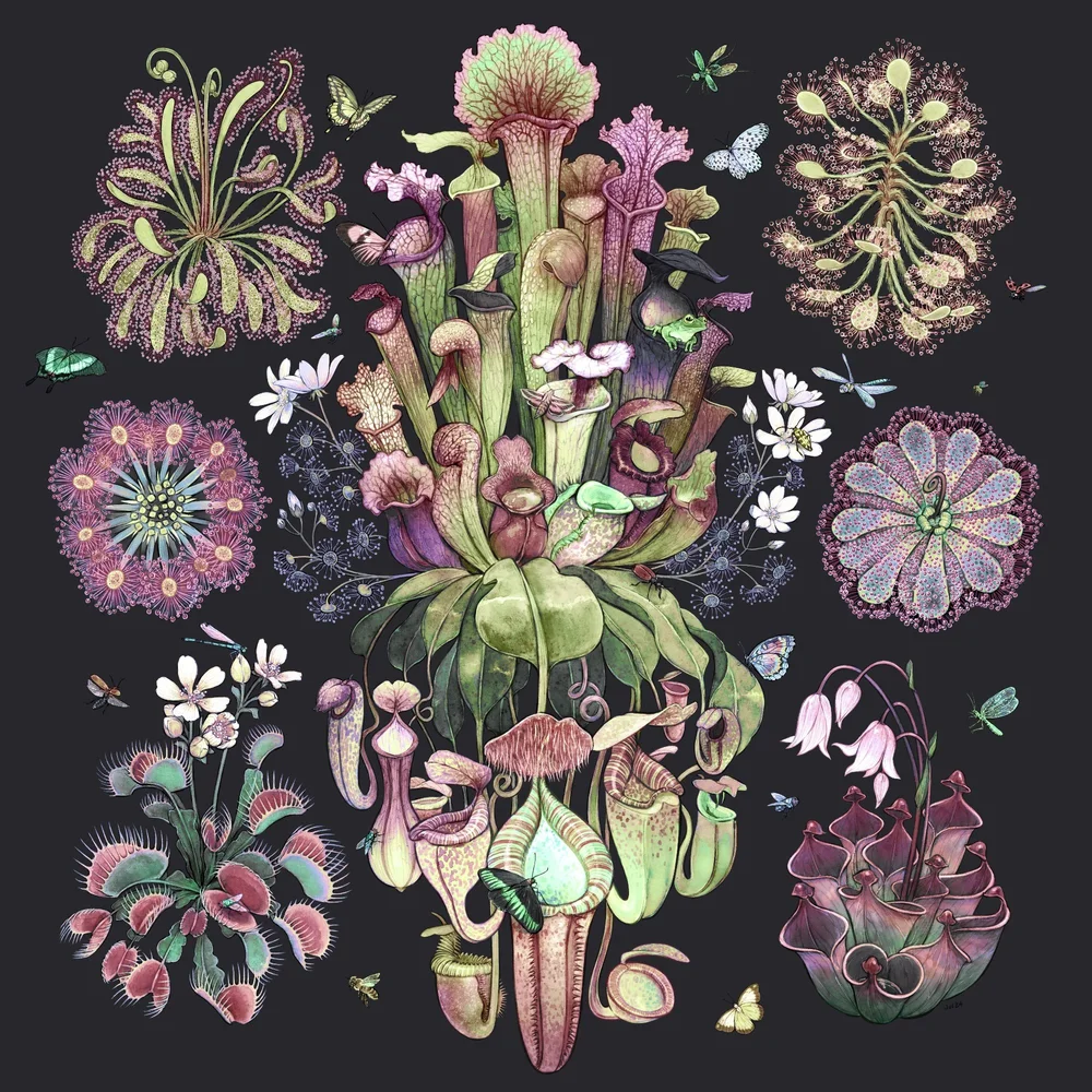 Carnivore Garden Art Print — Jessica Warrick