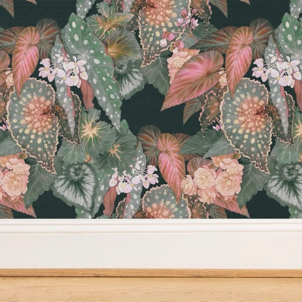 I have a new Begonias redux wallpaper design in lots o colors on Spoonflower! Check em out if you&rsquo;re a plantoholic like so many of us. 🌿🌸🥂 #plantohol #botanical #wallpaper #jessicawarrick #begonias

https://www.spoonflower.com/profiles/jessi