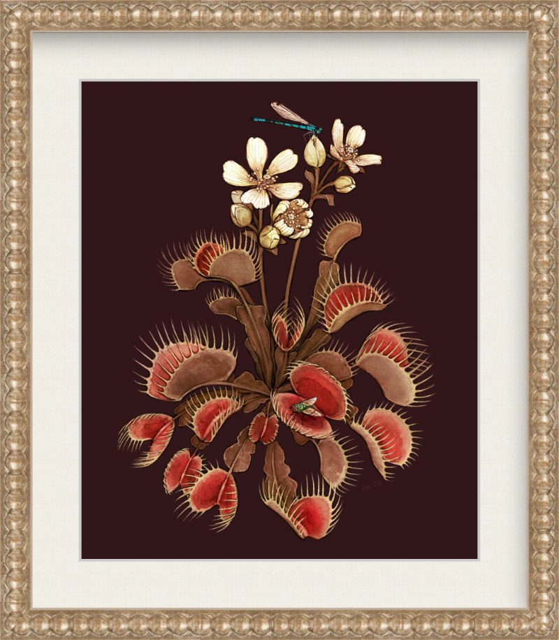Venus in Burgundy - Art Print — Jessica Warrick