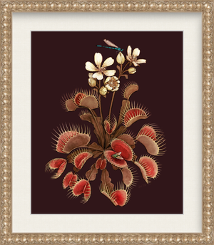 Venus in Burgundy - Art Print — Jessica Warrick Venus in Burgundy - Art Print — Jessica Warrick