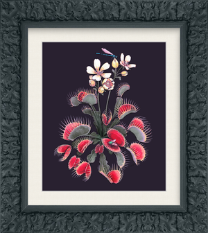 Venus in Plum - Art Print — Jessica Warrick