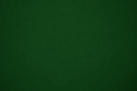 forest green banner 1.jpeg