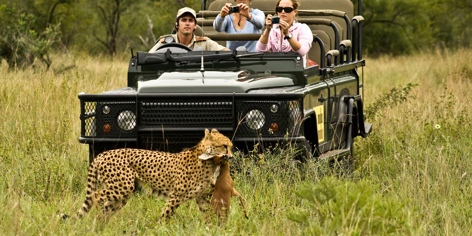 Enactus South Africa Safari Kruger.jpg