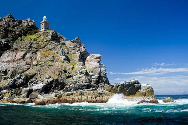 Enactus Cape Town Tours5.jpg