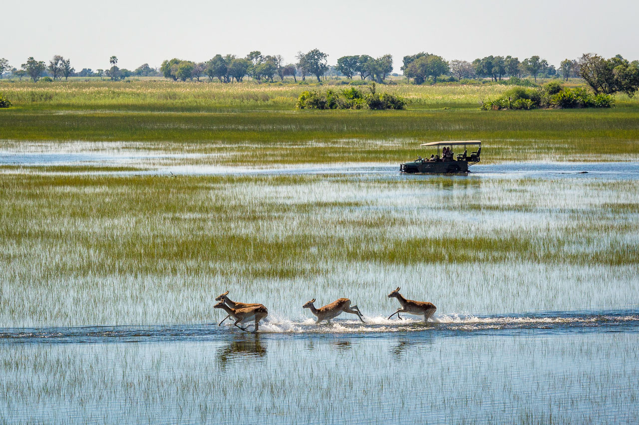 Enactus-safari-botswana-4.jpg