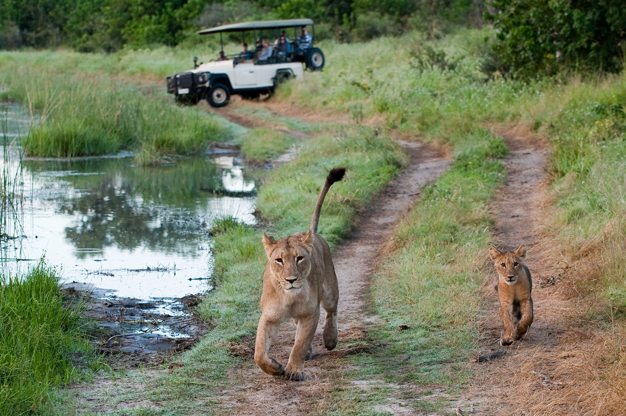 Enactus-safari-botswana-13.jpg