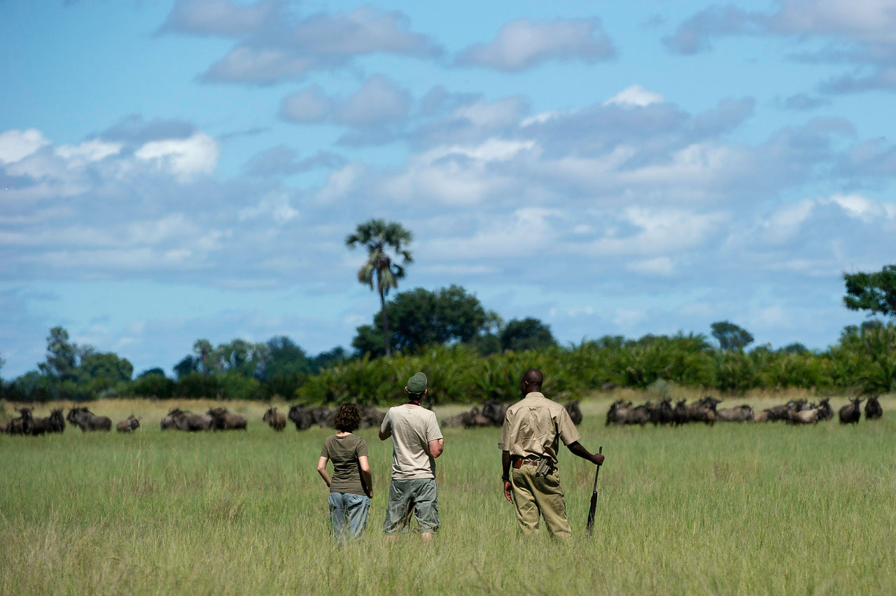 Enactus-safari-botswana-11.jpg