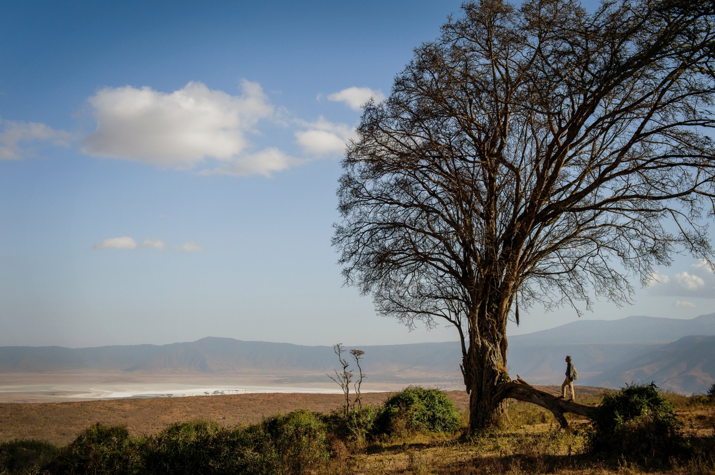 EntamanuNgorongoro02.jpg