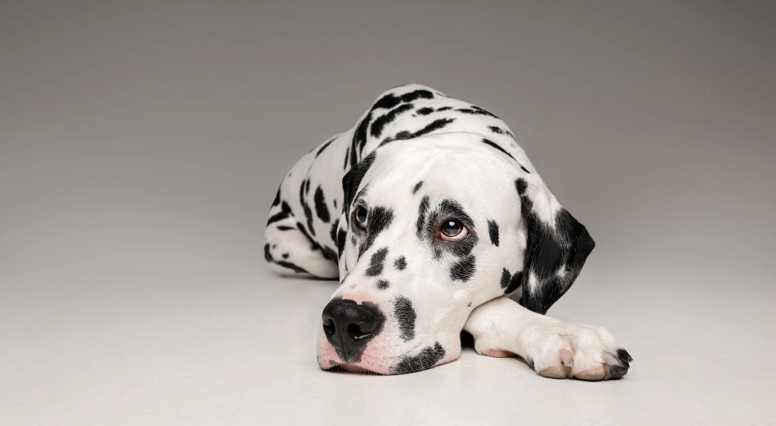 Iris Annette Eriksen Hanger 21.08.23.jpeg