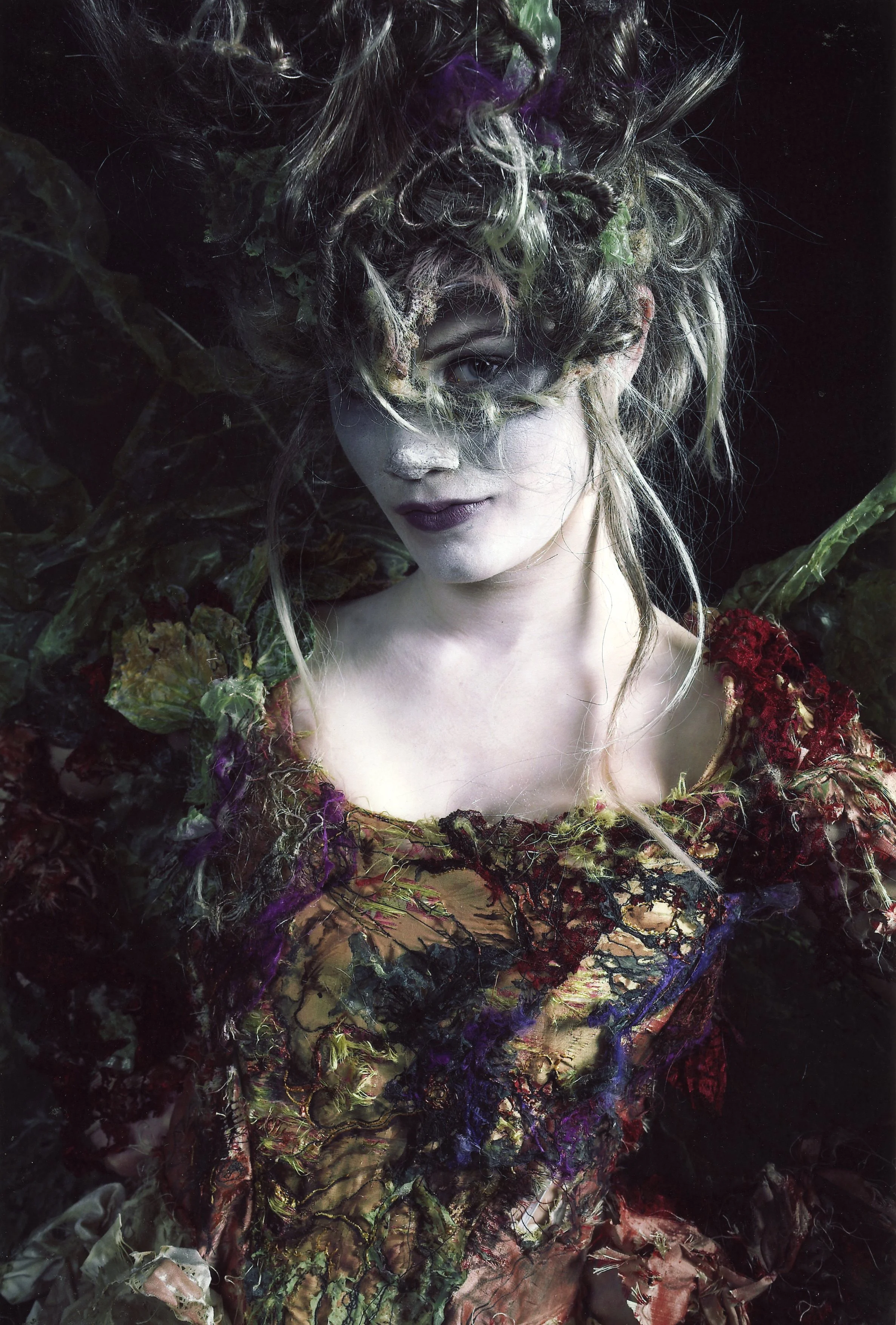 Silky the Fairy, Magical Farawy Tree Character copy.jpg