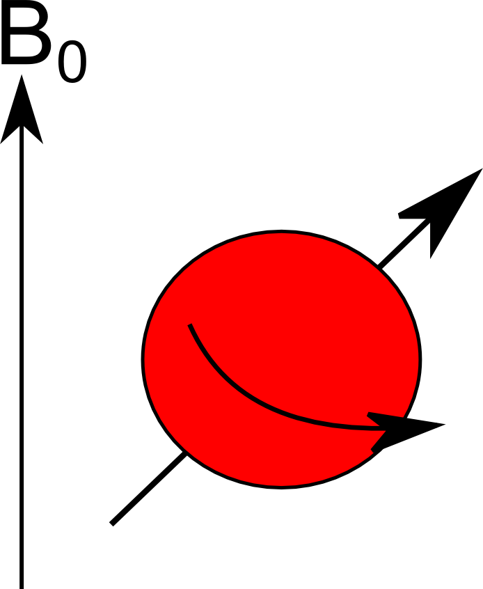 spin.png