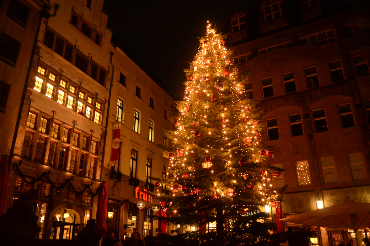 dsc_0699.jpg
