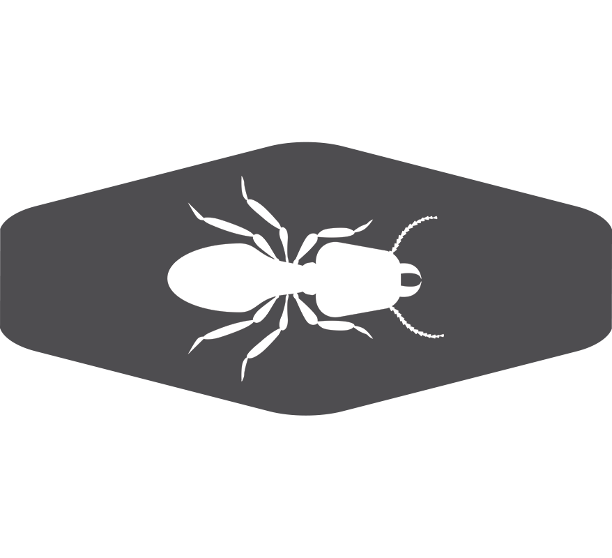 services-gray-lg-padded-termite.png