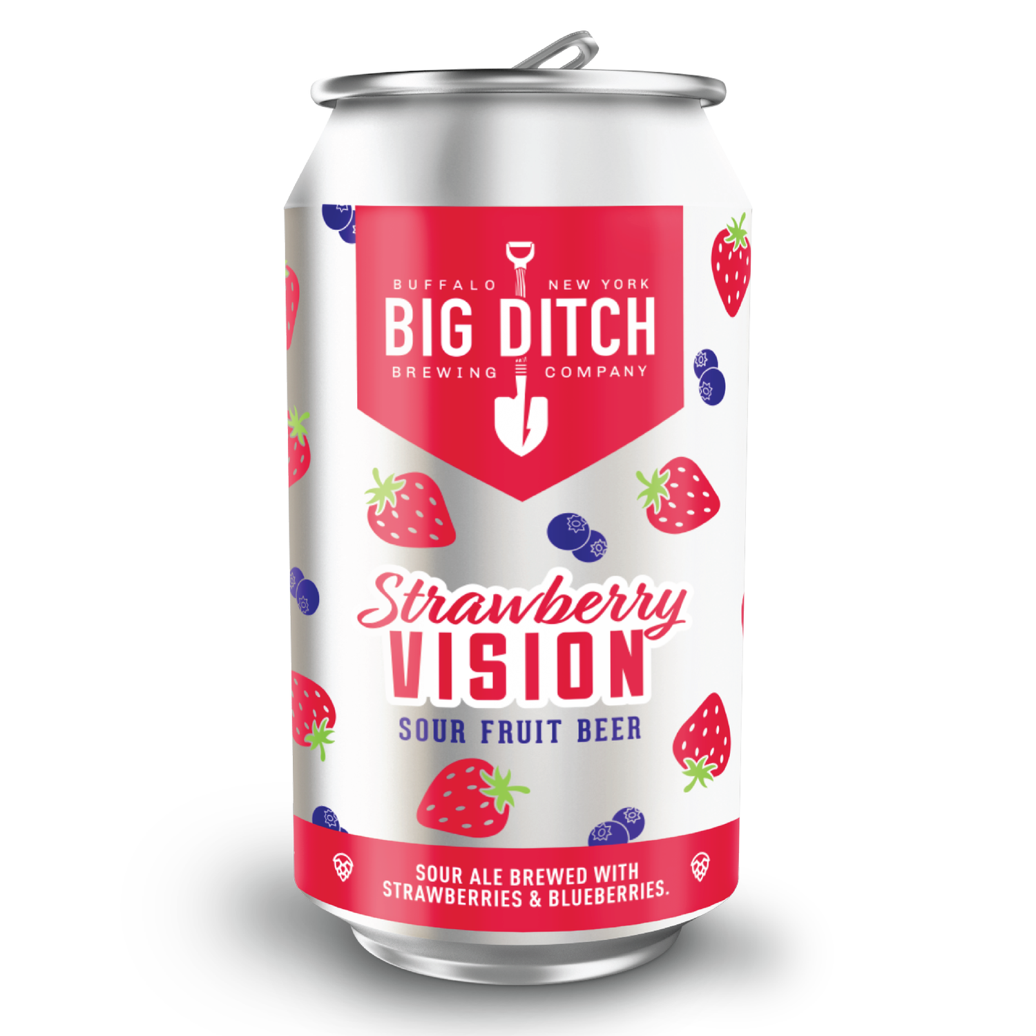 Strawberry Vision — Big Ditch Brewing Company