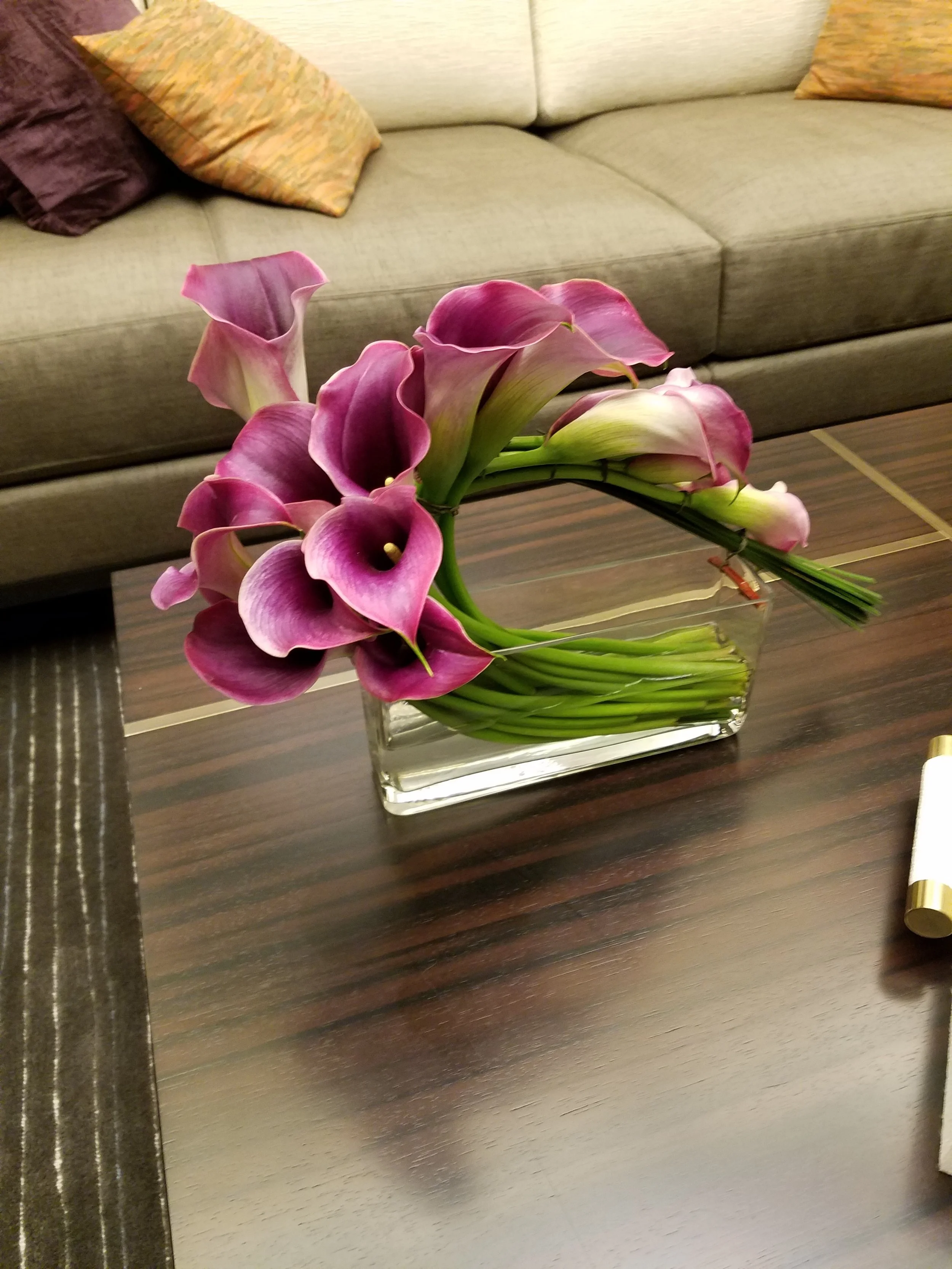 20160929_103454.jpg