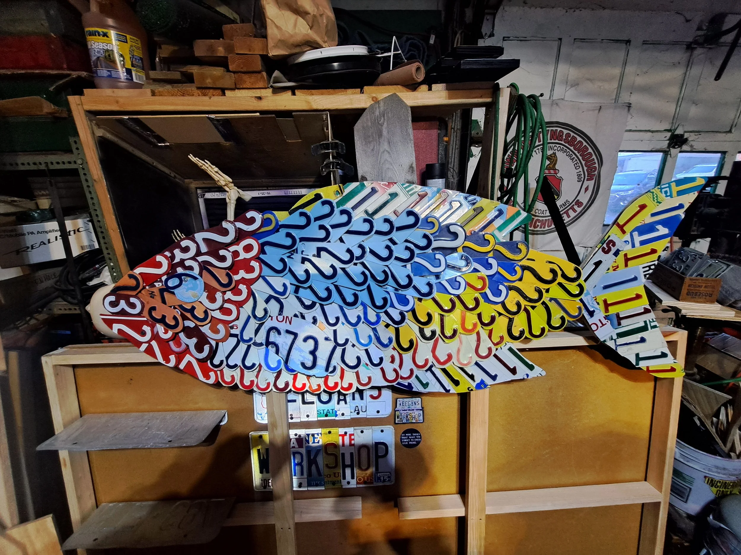 License plate number fish. It's quite the catch at 48 inches long and 16 inches tall!