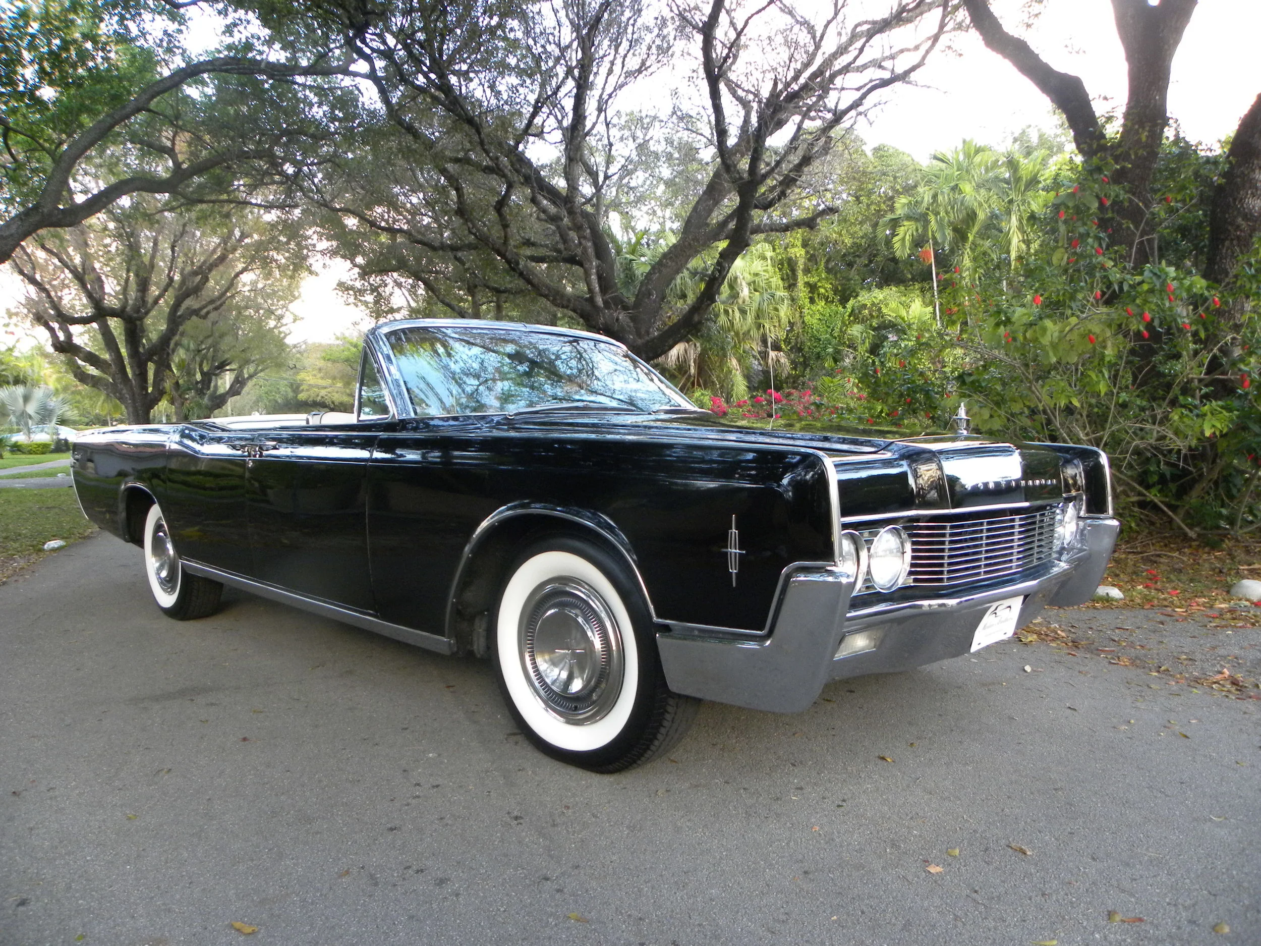 CLASSIC CARS — AraLimo