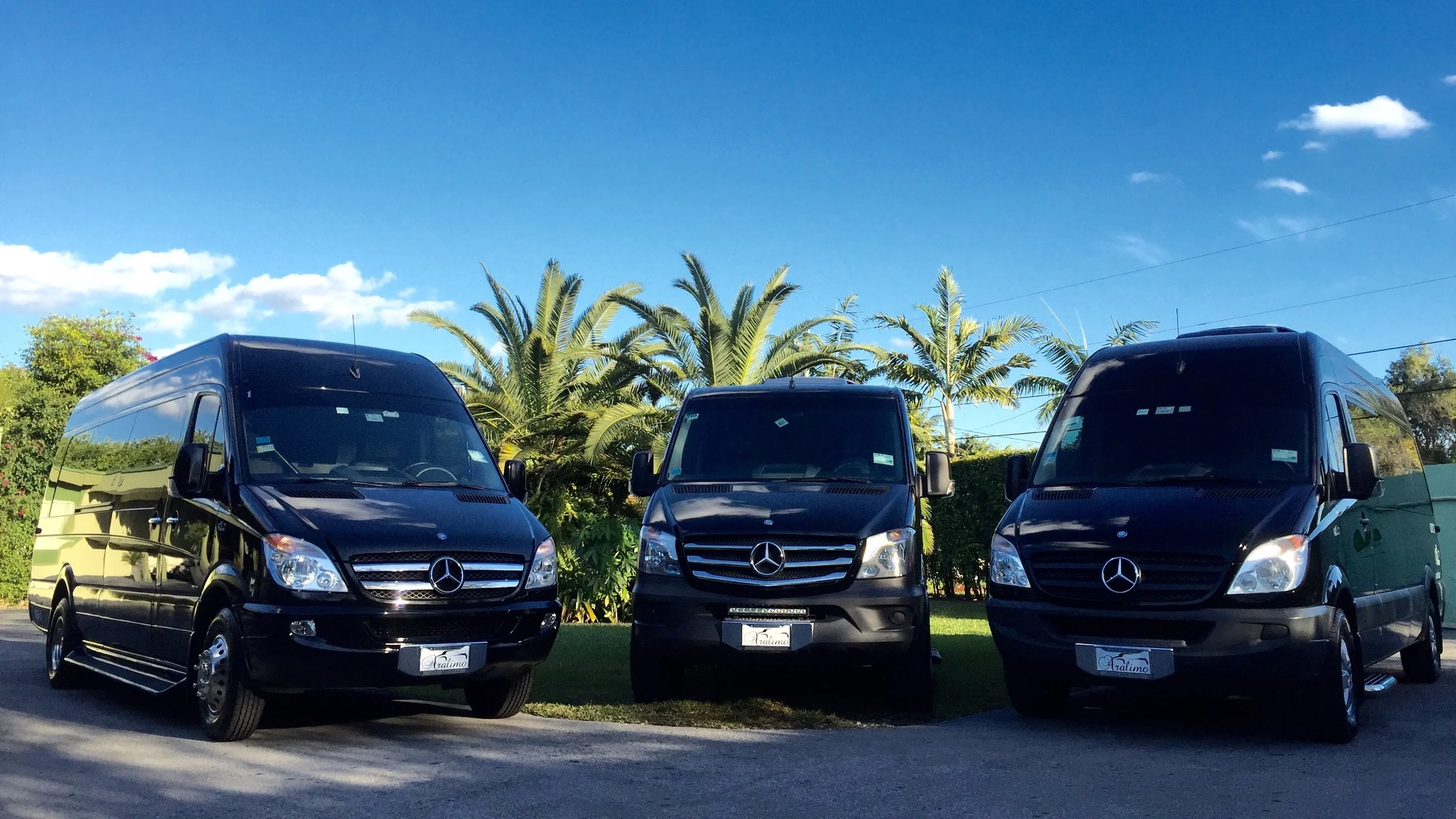  20 passenger/9 passenger/16 passenger (L to R) 