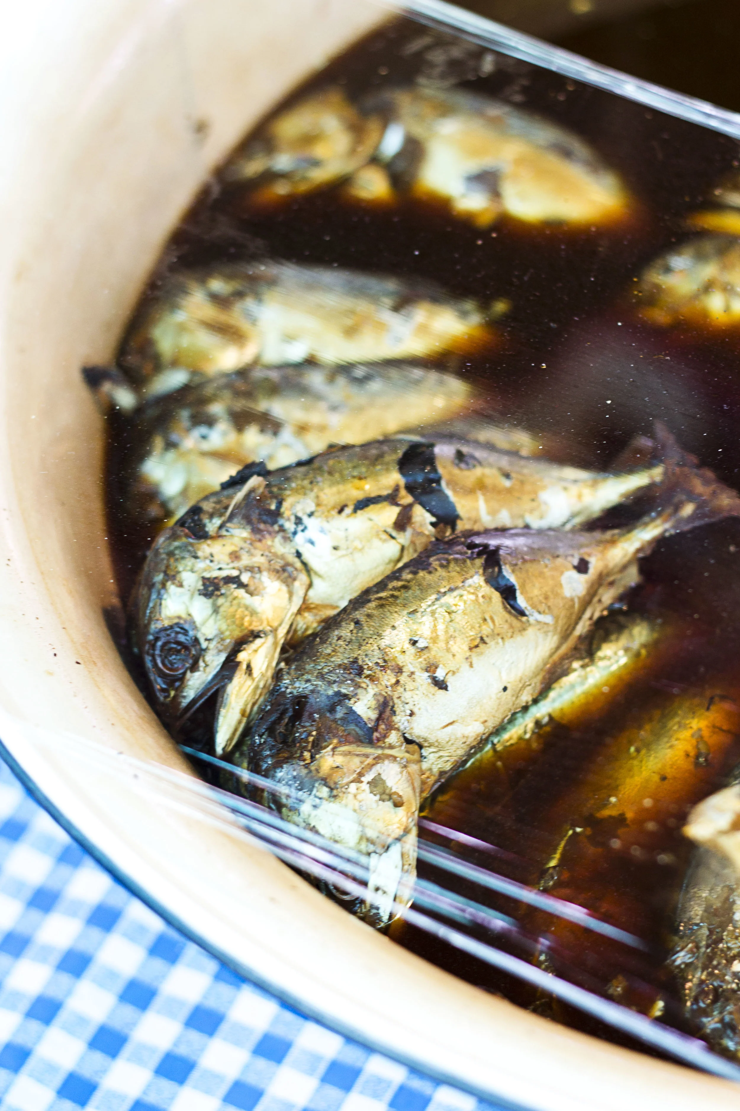 Fish in bowl.jpg