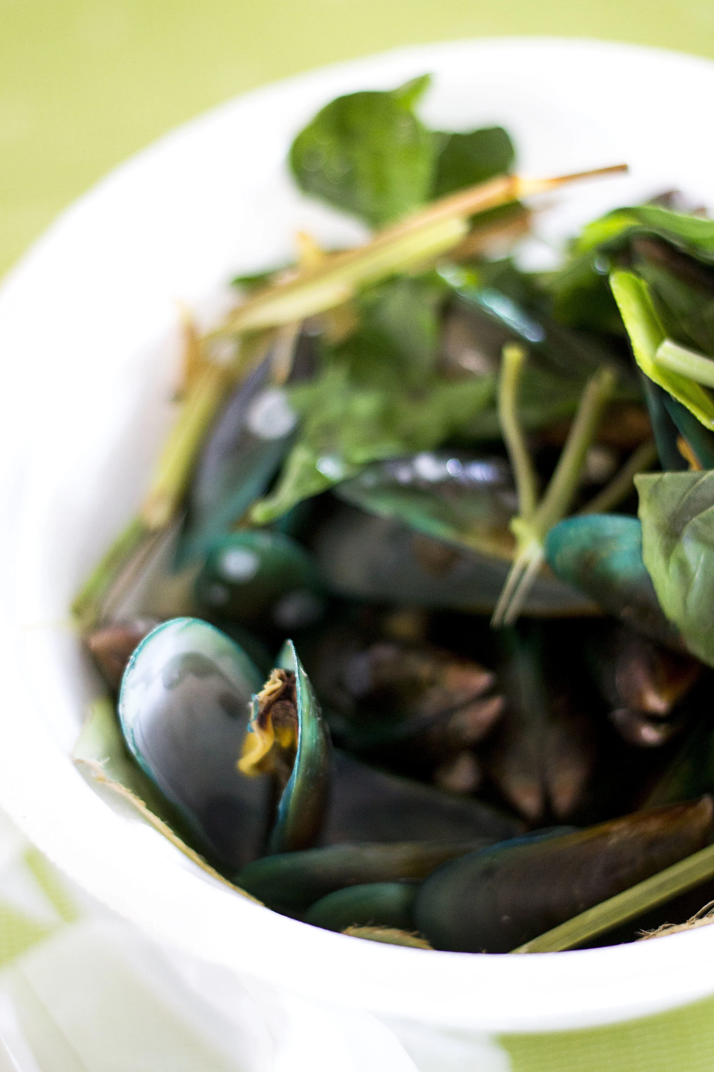 Mussels V.jpg