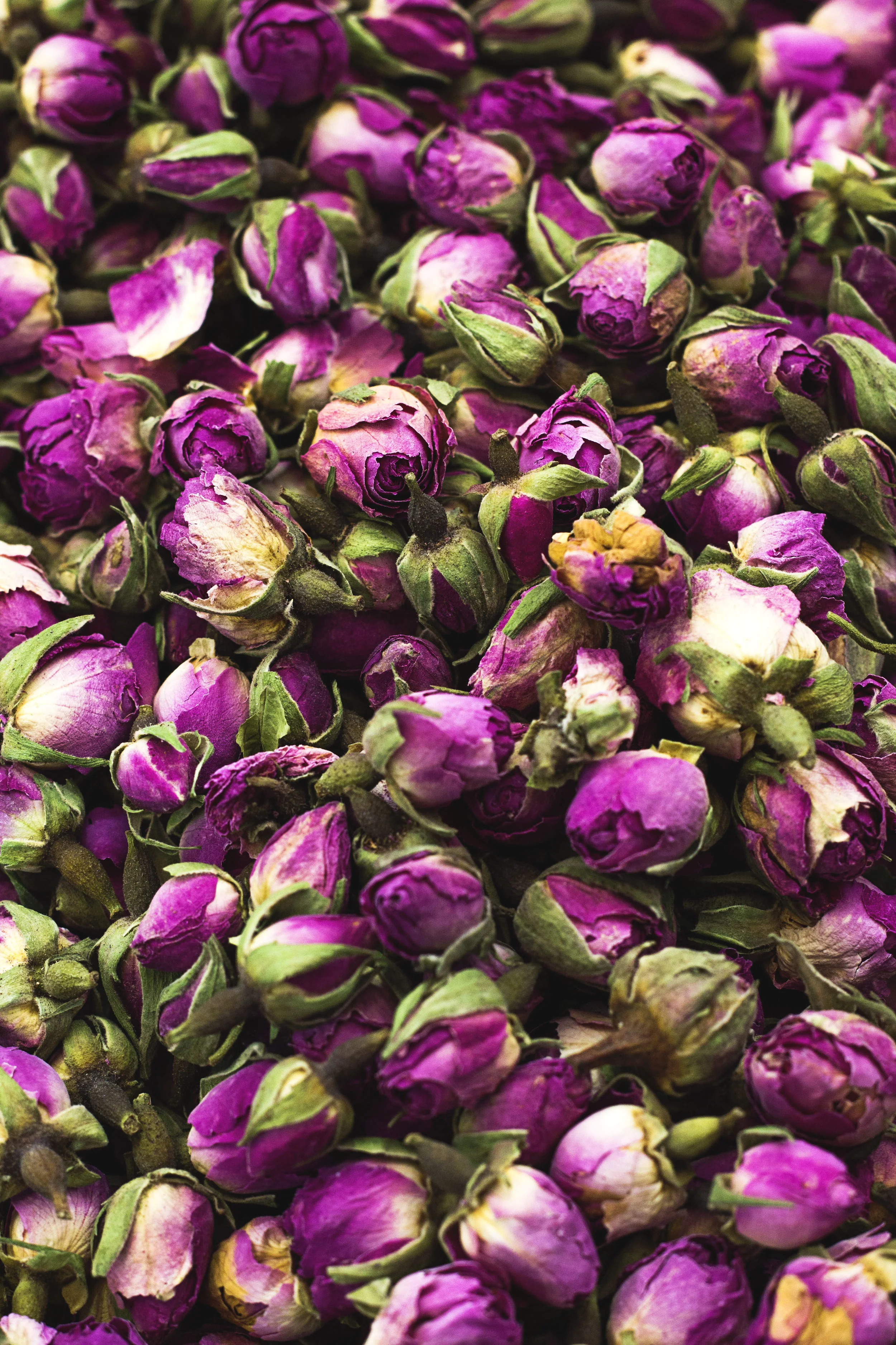 Roses tea.jpg