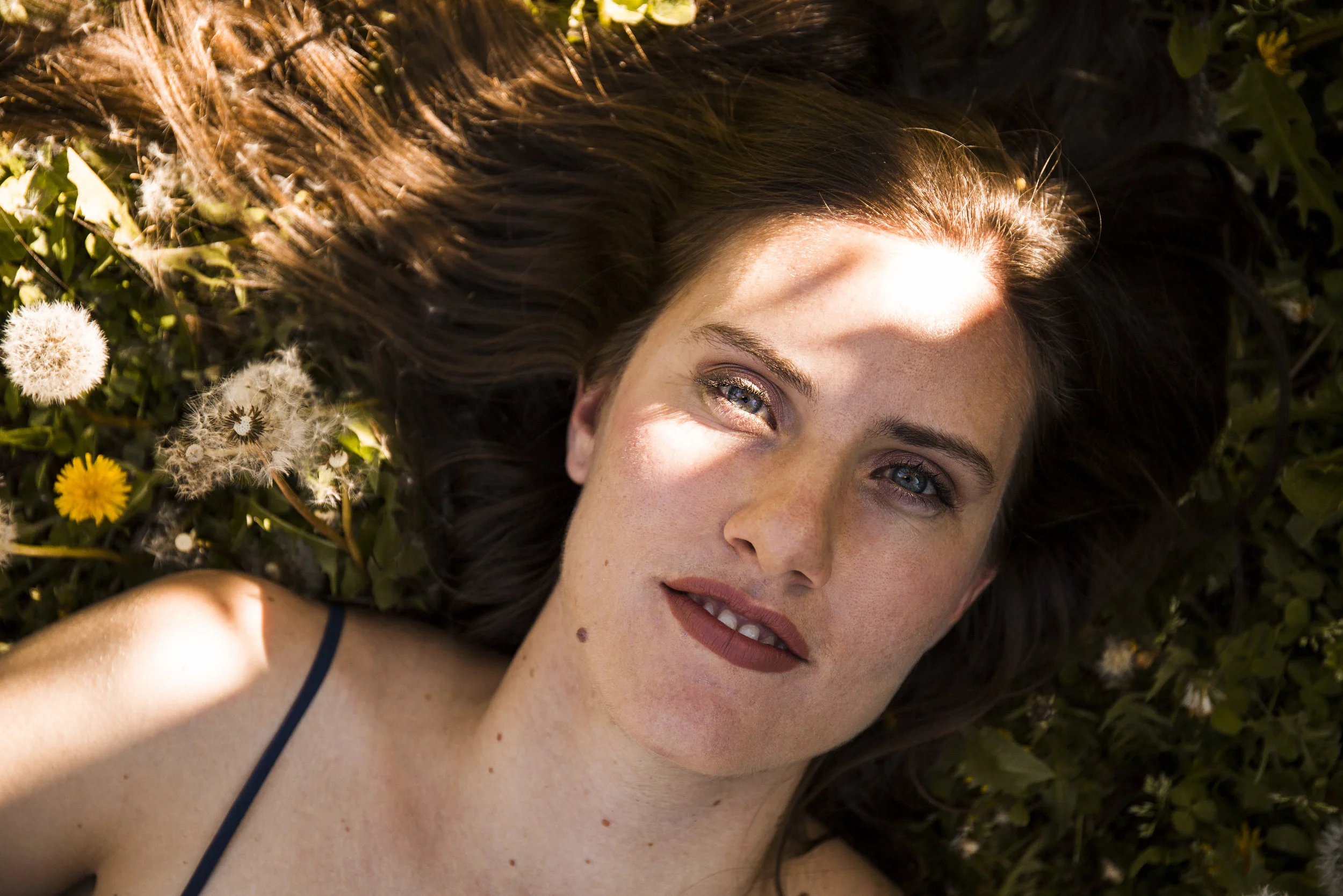 Lindsay Dandylions Right Angle H.jpg