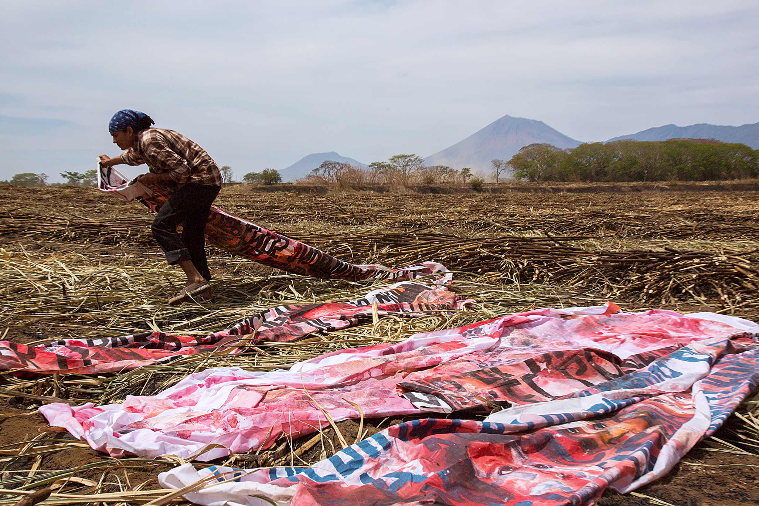 Empalagoso (Saccharine): The Chichigalpa Portrait Project, The Burnt Cane Installation. Photo courtesy of Tom Laffay. 