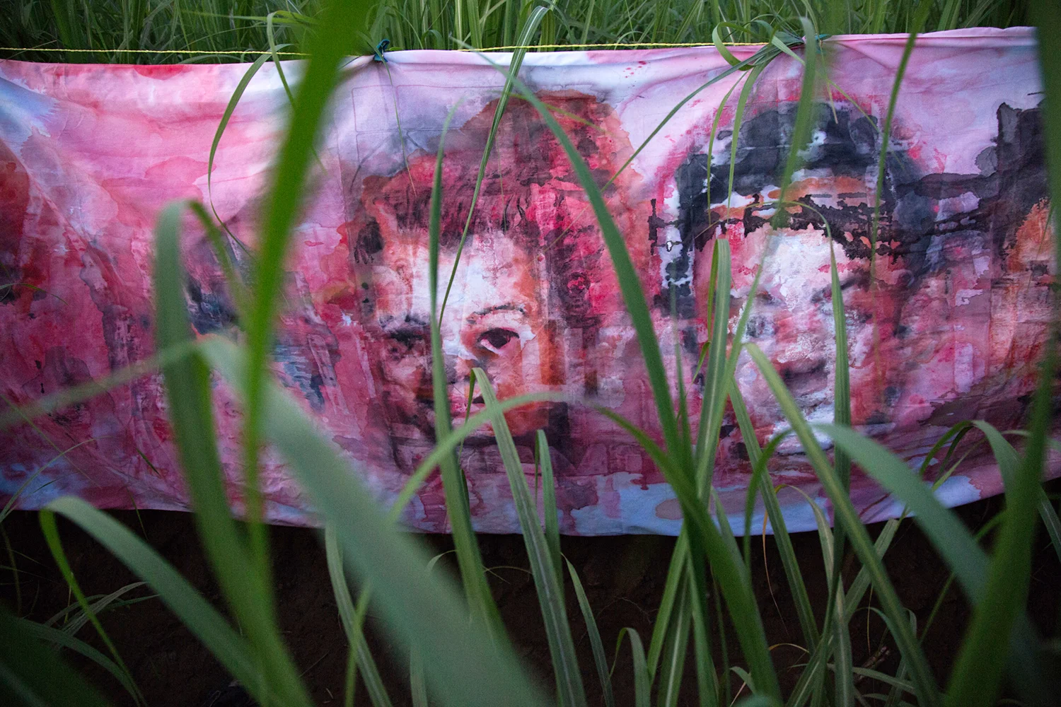 Empalagoso (Saccharine): The Chichigalpa Portrait Project, Green Cane Installation. Photo courtesy of Tom Laffay.