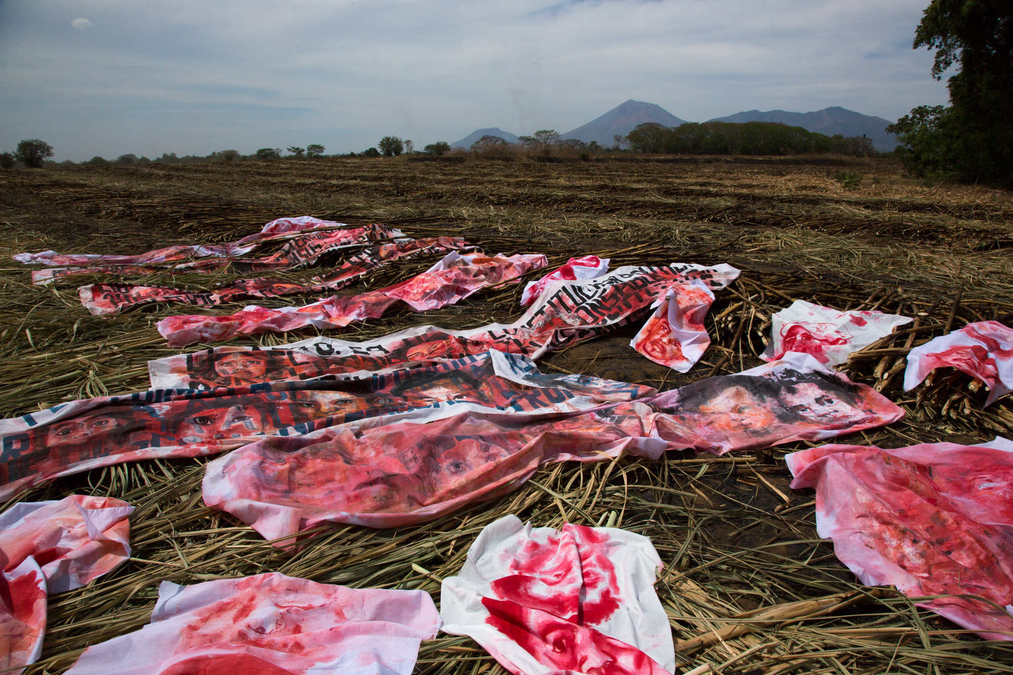 Empalagoso (Saccharine): The Chichigalpa Portrait Project, The Burnt Cane Installation. Photo courtesy of Tom Laffay. 